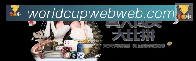 未来规划